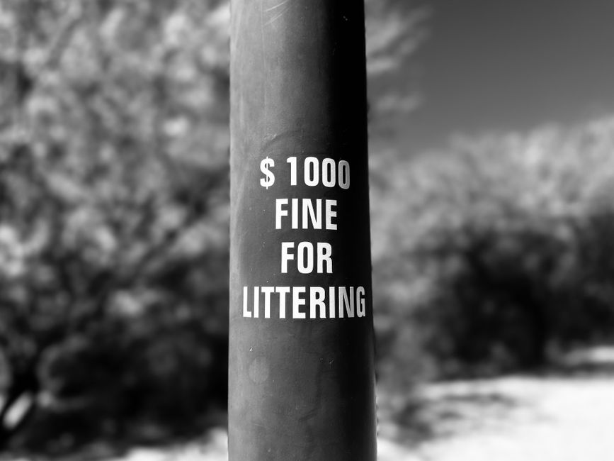 Close-up of a black cylindrical street pole with a white printed sign that reads '$1000 FINE FOR LITTERING'. The sign is centered on the pole and clearly visible, with the text arranged in three lines